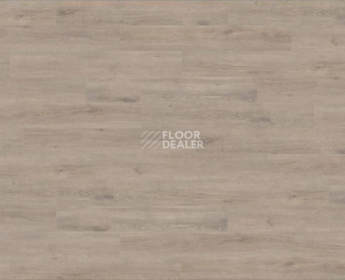 Ламинат Haro Tritty 200 Aqua Gran Via 4V ДУБ ВЕНЕТО МОККА 537379 фото 1 | FLOORDEALER